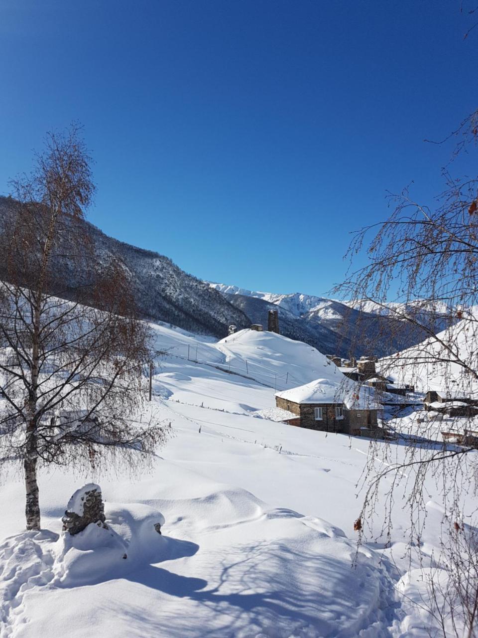 Guesthouse Ushguli Maspindzeli Zewnętrze zdjęcie